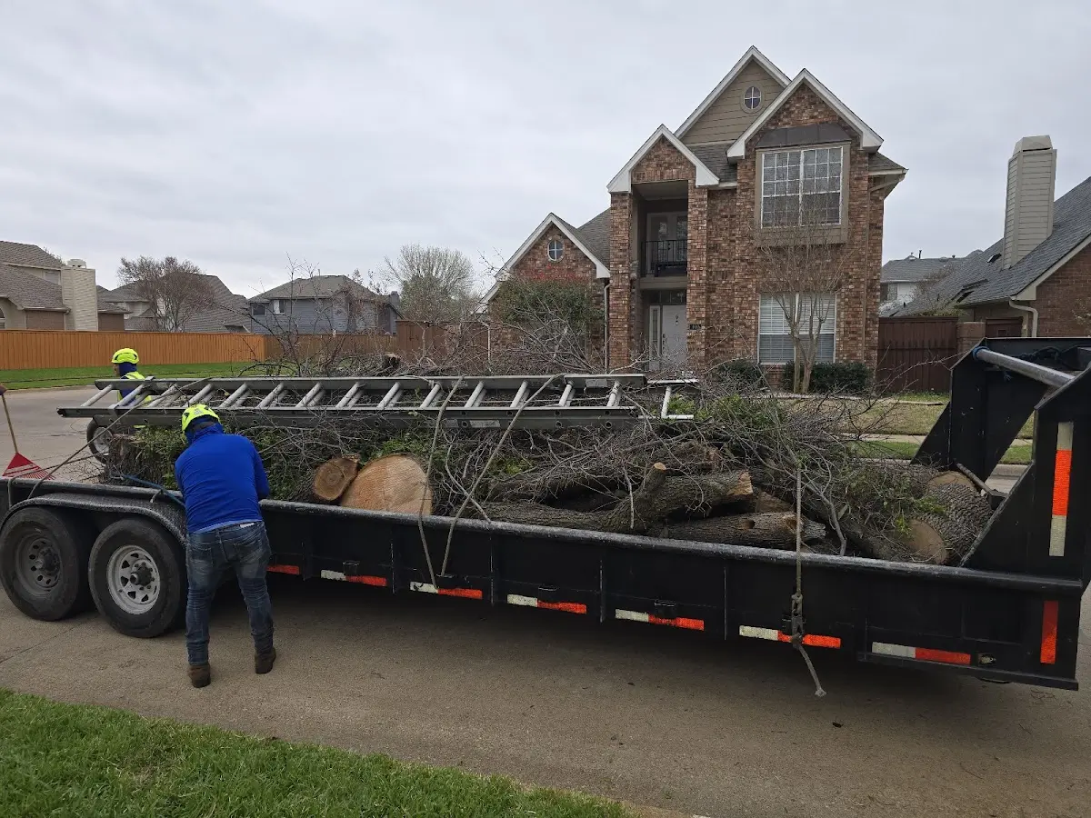 Expert Lot Clearing with proper safety equipment in Stockton